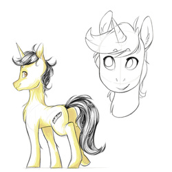 Size: 2000x2000 | Tagged: safe, artist:brownie97, oc, oc only, pony, unicorn, bust, high res, male, sketch, solo, stallion
