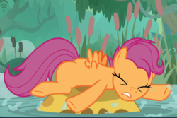 Size: 1033x689 | Tagged: safe, screencap, scootaloo, bufogren, pegasus, pony, g4, growing up is hard to do, cropped, eyes closed, female, older, older scootaloo, solo, tripping