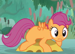 Size: 960x693 | Tagged: safe, screencap, scootaloo, bufogren, pegasus, pony, g4, growing up is hard to do, cropped, female, older, older scootaloo, prone, solo, swamp