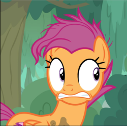 Size: 944x940 | Tagged: safe, screencap, scootaloo, pegasus, pony, g4, growing up is hard to do, cropped, female, mare, older, older scootaloo, scared, solo, teeth