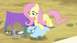 Size: 1920x1080 | Tagged: safe, screencap, fluttershy, pony, rabbit, sheep, weasel, g4, growing up is hard to do, animal, tiny ewes