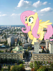 Size: 2880x3840 | Tagged: safe, artist:thegiantponyfan, artist:vulthuryol00, fluttershy, pegasus, pony, g4, female, giant pony, giantess, high res, highrise ponies, irl, macro, mare, photo, poland, ponies in real life, warsaw