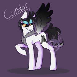 Size: 1024x1024 | Tagged: safe, artist:neonnecr0sis, oc, oc only, oc:condor, pegasus, pony, intersex, makeup, solo