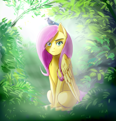 Size: 1460x1520 | Tagged: safe, artist:lorenz3, artist:notaletolivefor, fluttershy, bird, pegasus, pony, g4, female, looking at you, mare, sitting, solo