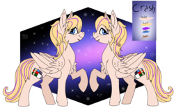 Size: 1920x1200 | Tagged: safe, artist:brainiac, derpibooru exclusive, oc, oc only, pony, commission, reference sheet, solo