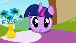 Size: 1280x720 | Tagged: safe, screencap, twilight sparkle, pony, unicorn, g4, the ticket master, cute, eating, eating flower, female, flower, head only, herbivore, mare, ponyville, solo, staring at you, twiabetes, twiman, unicorn twilight, vase
