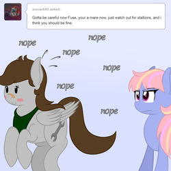 Size: 1280x1280 | Tagged: safe, artist:phoenixswift, oc, oc only, oc:fuselight, earth pony, pegasus, pony, ask fuselight, ask, blushing, female, mare, nope, nope nope nope nope nope nope, rule 63, tumblr