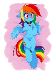 Size: 2448x3264 | Tagged: safe, artist:cynicalsonata, rainbow dash, pegasus, pony, semi-anthro, g4, arm hooves, belly button, blushing, chest fluff, collar, cute, dashabetes, ear blush, female, floppy ears, heart, high res, leg fluff, mare, on back, partial background, pet tag, pet-dash, pony pet, solo