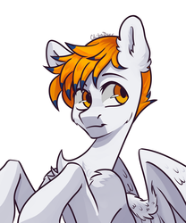 Size: 2500x3000 | Tagged: safe, artist:chibadeer, oc, pegasus, pony, bust, high res, male, portrait, simple background, solo, stallion, white background
