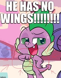 Size: 553x705 | Tagged: safe, edit, edited screencap, editor:useraccount, screencap, rarity, spike, g4.5, my little pony: pony life, caption, dreamworks face, excessive exclamation marks, image macro, pony life drama, sad but true, solo focus, spike drama, text, truth, wingless, wingless spike