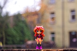 Size: 6016x4012 | Tagged: safe, artist:artofmagicpoland, sunset shimmer, equestria girls, g4, bokeh, doll, equestria girls minis, eqventures of the minis, female, solo, toy