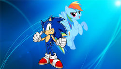 Size: 3496x2000 | Tagged: safe, artist:brandonale, rainbow dash, hedgehog, pony, g4, copy and paste, crossover, duo, flying, high res, male, sonic the hedgehog, sonic the hedgehog (series)