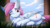 Size: 4096x2304 | Tagged: safe, artist:crash9902, oc, oc only, oc:eula phi, oc:evening skies, pegasus, pony, unicorn, butt, cutie mark, dock, ear fluff, female, licking, looking back, lying on top of someone, macro, macro/micro, mare, micro, one eye closed, plot, size difference, tongue out