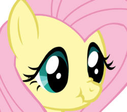 Size: 600x527 | Tagged: safe, artist:camtwo, fluttershy, pegasus, pony, g4, animated, cute, female, gif, mare, nose wrinkle, scrunchy face, shyabetes, simple background, solo, transparent background, vibrating