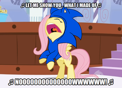 Size: 642x464 | Tagged: safe, artist:soul-yagami64, edit, edited screencap, screencap, fluttershy, pegasus, pony, g4, green isn't your color, clothes, cosplay, costume, crossover, song reference, sonic heroes, sonic the hedgehog, sonic the hedgehog (series), what i'm made of