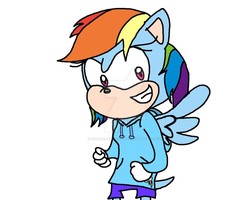 Size: 999x800 | Tagged: safe, artist:xxninja-pikachaoxx, rainbow dash, anthro, g4, deviantart watermark, obtrusive watermark, sonic the hedgehog, sonic the hedgehog (series), sonicified, watermark