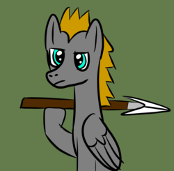 Size: 1024x1005 | Tagged: safe, artist:platinumdrop, oc, oc only, oc:platinumdrop, pegasus, pony, male, simple background, solo, spear, stallion, weapon