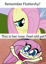 Size: 450x626 | Tagged: safe, edit, edited screencap, screencap, fluttershy, pegasus, pony, friendship is magic, g4, g4.5, my little pony: pony life, animated, caption, comparison, exuberant airdancer fluttershy, feeling old yet?, female, gif, happy, mare, meme, noodle arms, unshorn fetlocks, wacky waving inflatable tube pony