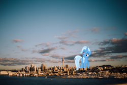 Size: 3840x2560 | Tagged: safe, artist:reginault, artist:thegiantponyfan, trixie, pony, unicorn, g4, auckland, female, giant pony, giantess, high res, highrise ponies, irl, macro, mare, new zealand, photo, ponies in real life