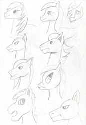Size: 752x1086 | Tagged: safe, artist:samoht-lion, earth pony, pony, bust, frown, lineart, male, stallion, traditional art