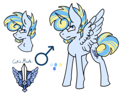 Size: 1600x1200 | Tagged: safe, artist:hunterthewastelander, oc, oc only, oc:snowstorm brina cavaliere, alicorn, pony, alicorn oc, bust, frown, male, offspring, parent:princess cadance, parent:shining armor, parents:shiningcadance, reference sheet, shield, simple background, stallion, story included, sword, transgender, weapon, white background