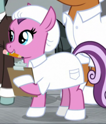 Size: 450x525 | Tagged: safe, screencap, lavender flask, sans smirk, earth pony, pony, g4, the last laugh, clipboard, clothes, cropped, hoof gloves, lab coat, mouth hold, pencil, solo focus
