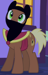 Size: 427x661 | Tagged: safe, screencap, meadow song, earth pony, pony, g4, luna eclipsed, clothes, costume, cropped, male, nightmare night, nightmare night costume, ninja, solo