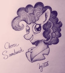 Size: 2683x3018 | Tagged: safe, artist:yunuo, cheese sandwich, pony, g4, high res, male, monochrome, solo, traditional art