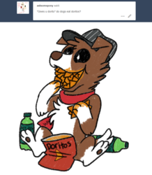 Size: 800x916 | Tagged: safe, artist:askwinonadog, winona, dog, ask winona, g4, ask, baseball cap, cap, chips, doritos, eating, female, food, hat, messy eating, mountain dew, simple background, solo, tumblr, white background