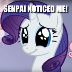 Size: 600x594 | Tagged: safe, edit, edited screencap, screencap, rarity, pony, unicorn, g4, sisterhooves social, caption, cropped, female, image macro, mare, senpai, senpai noticed me, solo, text