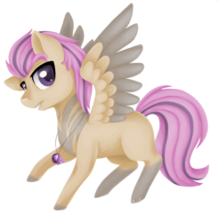 Size: 778x791 | Tagged: safe, artist:shady-bush, oc, oc only, oc:jarek, pegasus, pony, chibi, male, simple background, solo, stallion, transparent background, two toned wings, wings