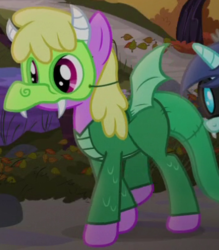 Size: 360x411 | Tagged: safe, screencap, cherry berry, diamond mint, earth pony, pony, g4, scare master, clothes, costume, cropped, dragon costume, nightmare night, nightmare night costume, solo focus