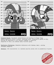 Size: 813x983 | Tagged: safe, artist:dan232323, zecora, zebra, g4, abuse, crime, grayscale, hilarious in hindsight, implied arson, implied drugs, implied murder, meta, monochrome, mugshot, my little criminal records, prisoner, tall, terrorist, text, zecorabuse
