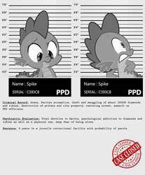 Size: 813x983 | Tagged: safe, artist:dan232323, spike, dragon, g4, abuse, crime, grayscale, hilarious in hindsight, implied arson, implied shipping, implied sparity, implied straight, implied theft, meta, monochrome, mugshot, my little criminal records, shocked, spikeabuse