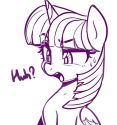 Size: 636x680 | Tagged: safe, artist:maren, twilight sparkle, alicorn, pony, g4, confused, huh, monochrome, open mouth, simple background, sketch, solo, sweat, talking, twilight sparkle (alicorn), white background