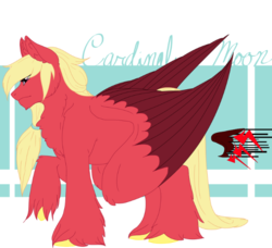 Size: 638x582 | Tagged: safe, artist:minikitty101, oc, oc only, oc:cardinal moon, pegasus, pony, chest fluff, large wings, long hair, magical gay spawn, male, offspring, parent:big macintosh, parent:zephyr breeze, parents:zephyrmac, solo, stallion, unshorn fetlocks, wings