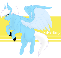 Size: 648x618 | Tagged: safe, artist:minikitty101, oc, oc only, oc:silverfang, hippogriff, pegasus, pony, blank flank, facial hair, goatee, interspecies offspring, magical lesbian spawn, male, offspring, parent:gilda, parent:rainbow dash, parents:gildash, solo, stallion, unshorn fetlocks