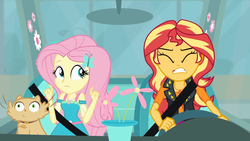 Size: 1920x1080 | Tagged: safe, screencap, fluttershy, sunset shimmer, cat, driving miss shimmer, equestria girls, equestria girls series, g4, angry, car, driving miss shimmer: fluttershy, eyes closed, female, flower, flower pot, fluttershy's car, frustrated, geode of empathy, geode of fauna, gritted teeth, impatient, magical geodes, miss kitty, seatbelt, steering wheel