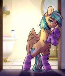 Size: 824x970 | Tagged: safe, artist:ak4neh, oc, oc only, oc:summer ray, pegasus, pony, clothes, featureless crotch, female, looking at you, mare, socks, solo, stockings, striped socks, thigh highs, wet, wet mane