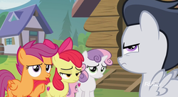 Size: 1182x646 | Tagged: safe, screencap, apple bloom, rumble, scootaloo, sweetie belle, earth pony, pegasus, pony, unicorn, g4, marks and recreation, angry, colt, cutie mark crusaders, discovery family logo, female, filly, foal, male