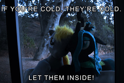 Size: 2000x1335 | Tagged: safe, artist:agatrix, derpy hooves, queen chrysalis, alicorn, changeling, pegasus, pony, g4, caption, door, female, irl, meme, nature, outdoors, photo, plushie, text