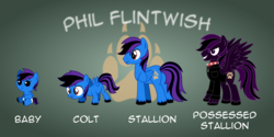 Size: 10000x5000 | Tagged: safe, artist:northernthestar, oc, oc only, oc:phil flintwish, pegasus, pony, absurd resolution, age progression, baby, baby pony, colt, male, possessed, reference sheet, solo, stallion