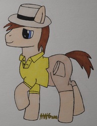Size: 2640x3416 | Tagged: safe, artist:awgear, oc, oc only, oc:polished gear, earth pony, pony, blue eyes, brown mane, brown tail, clothes, hat, high res, male, polo shirt, short tail, shorts, solo, stallion