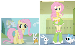 Size: 1104x680 | Tagged: safe, artist:bbbhuey, edit, screencap, angel bunny, fluttershy, mitsy, cat, pegasus, pony, rabbit, equestria girls, g4, my little pony equestria girls, the ticket master, animal, backpack, boots, cute, golden ticket, kitten, lockers, looking at you, ponyville, shoes, shyabetes, size comparison