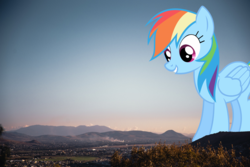 Size: 1280x853 | Tagged: safe, artist:thegiantponyfan, rainbow dash, pegasus, pony, g4, giant pony, highrise ponies, irl, macro, photo, ponies in real life, village
