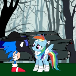 Size: 768x768 | Tagged: safe, rainbow dash, pegasus, pony, g4, cadillac, hearse, male, plague doctor, sonic the hedgehog, sonic the hedgehog (series)