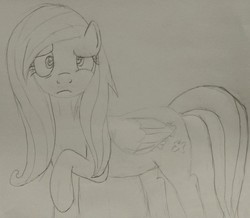 Size: 1100x960 | Tagged: artist needed, safe, fluttershy, pegasus, pony, g4, confused, female, looking at you, mare, monochrome, raised hoof, simple background, sketch, solo, traditional art