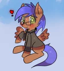 Size: 267x300 | Tagged: safe, artist:snowcicle, oc, oc only, oc:odyssey flash, pegasus, pony, clothes, cute, female, glasses, hoodie, mare, solo