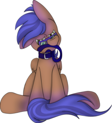 Size: 3661x4000 | Tagged: artist needed, source needed, safe, oc, oc only, oc:odyssey flash, pegasus, pony, collar, glasses, leash, male, mouth hold, pet, pet play