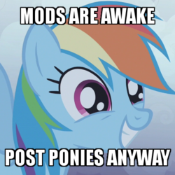 Size: 400x400 | Tagged: safe, edit, edited screencap, screencap, rainbow dash, pegasus, pony, friendship is magic, g4, caption, cropped, cute, dashabetes, female, grin, image macro, mare, meme, mods are asleep, mods are asleep post ponies, post ponies, smiling, solo, spread wings, squee, text, wide eyes, wings